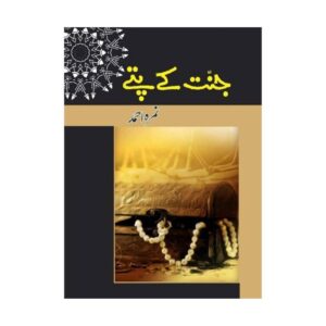 Jannat Kay Pattay